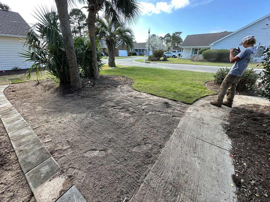Seasonal Cleanup & Leaf Removal
