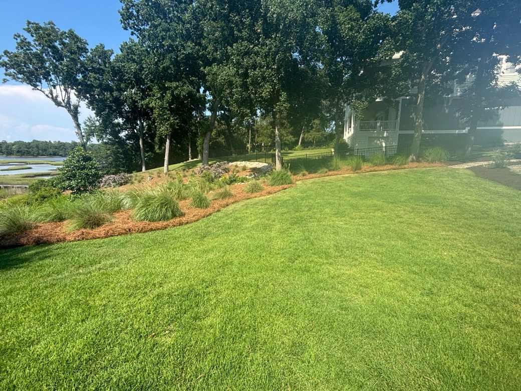 Dethatching & Aeration